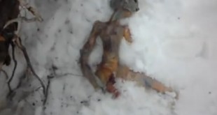 "Extraterrestre" hallado muerto en Rusia.