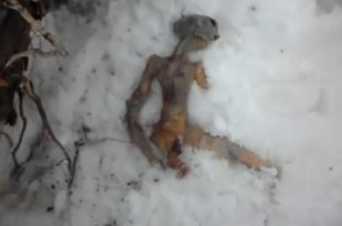 "Extraterrestre" hallado muerto en Rusia.