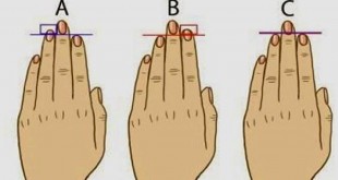 La forma de tus dedos meñique, medio, anular, pulgar e indice, habla de tu personalidad.