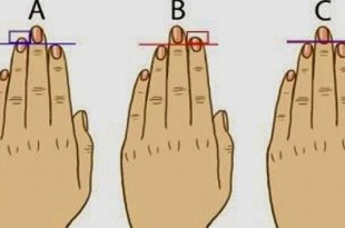 La forma de tus dedos meñique, medio, anular, pulgar e indice, habla de tu personalidad.