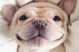 imagenes graciosas y chistosas