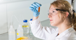 ciencias experimentales