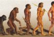 teoría de la evolución