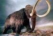 Animales Extintos