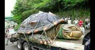 Animales Más Grandes Del Mundo