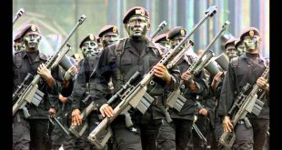 Fuerzas Especiales Más Letales Del Mundo. Fuerzas especiales de México